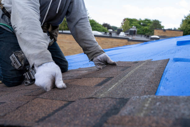 Quick and Trustworthy Emergency Roof Repair Services in Topaz Ranch Estates, NV