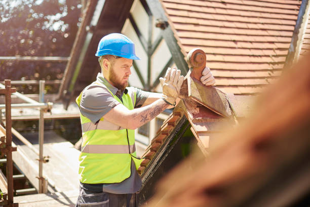 Best Local Roofing Companies  in Topaz Ranch Estates, NV